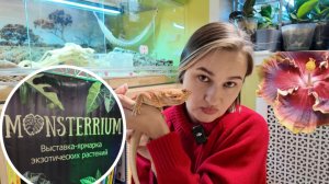 Мой Монстерриум. Впечатлений много, а видео - нет