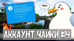 Чайку жестко наказали и отправили на штрафной пруд #рр4