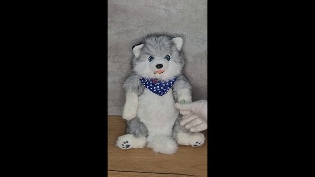 copy_48AFA85F-D48E-4BD0-94E7-8067348D446F