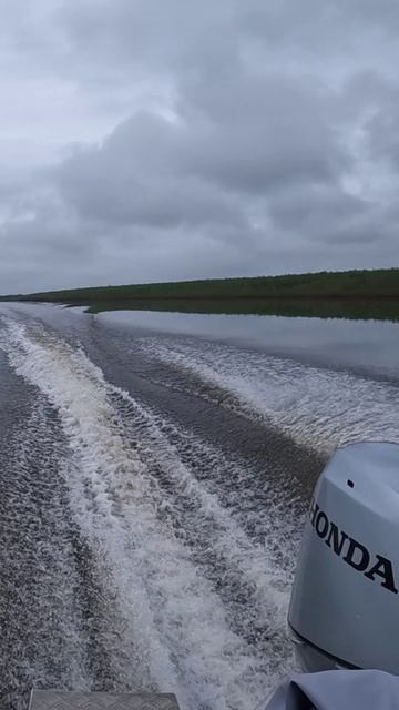 Триера на зеркальной реке! смотреть онлайн
