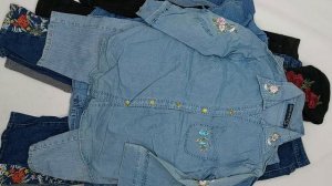 39736 ПРОДАН Микс джинсовый женский вышивка, 2пак, Ladies Embroidery Mix 1/2, секонд (extra) оптом