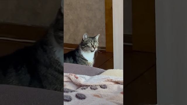 #Влог с Машей. 🍓 Поехали к бабушке. 🎀 1 день ¡🌊 смотреть онлайн