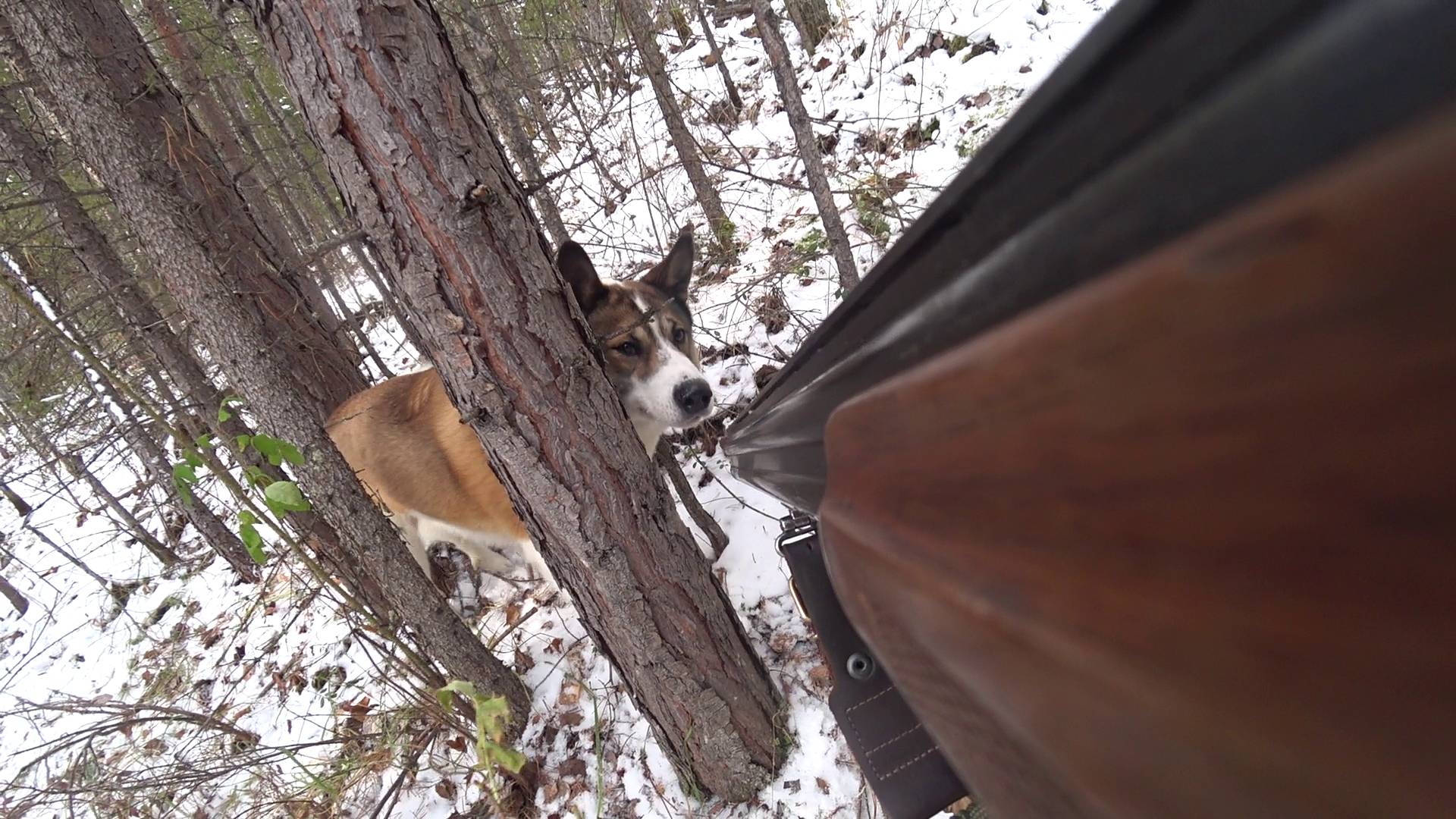 ПЕРВАЯ ПРОВЕРКА смотреть онлайн