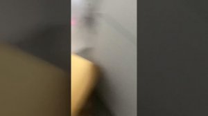 Обзор 99 ночей