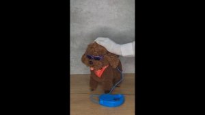 copy_8A898CCA-8BC6-4EBD-9BFB-C3649B9BE65D