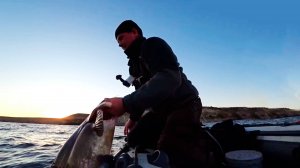 Глубина с трёхэтажный дом! Вот это да! Нашёл логово сомов! Осенний жор сома на квок.