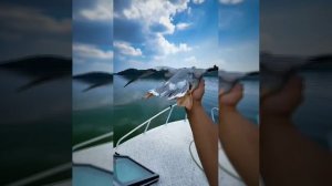 Я НА ПОТОМ НЕ СТРОЮ ПЛАНЫ.