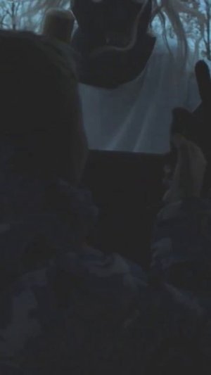 БАБКА ГРЕННИ ПОЧТИ ПОЙМАЛА... #гренни