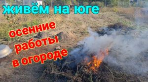 Мой дом у лимана♥️Еду в Александровку. В гостях у Ольги. Работы в огороде. Костры...