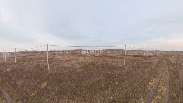 10103812 смотреть онлайн