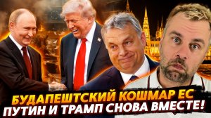 КОШМАР ЕС НАЧИНАЕТСЯ - ВСТРЕЧА ПУТИНА И ТРАМПА