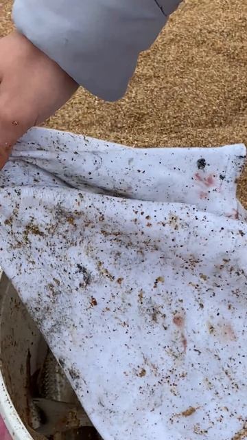 Настоящая рыбалка! Столько рыбаков Яковенково ещё не видело.19 октября 2025