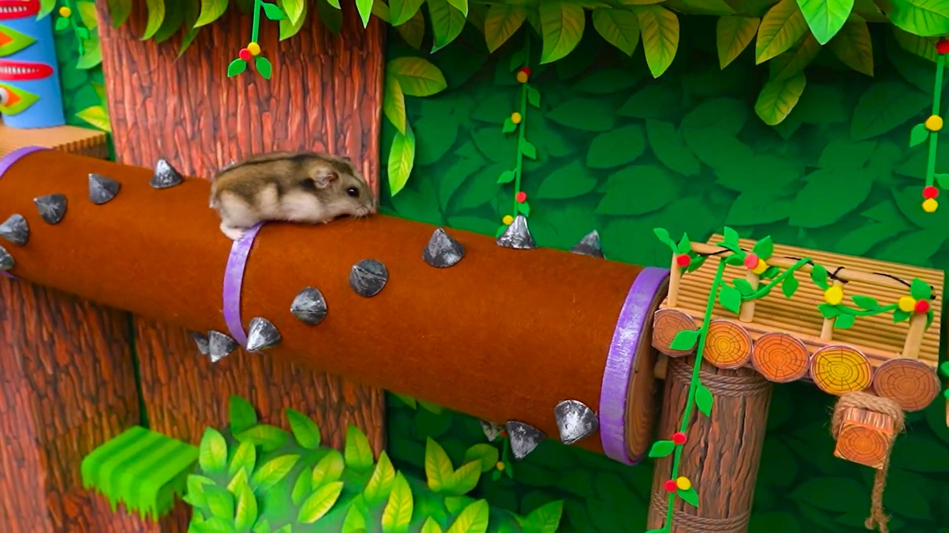 🐹Маленький Хомячок проходит препядствия в лабиринте🔥