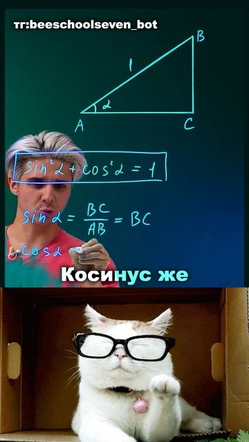 😎 Понимаешь Пифагора — значит, уже знаешь тригонометрию