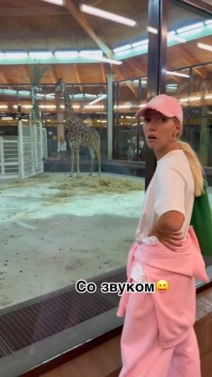 Больше его никто не видел 😁🤣