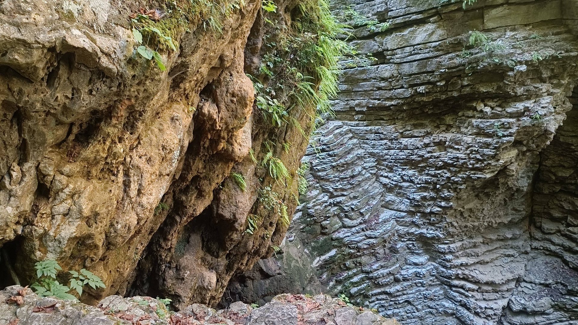 В ЧУДНОМ МЕСТЕ ПОД НАЗВАНИЕМ АДЫГЕЯ