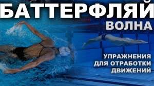 КАК УЛУЧШИТЬ ТЕХНИКУ ПЛАВАНИЯ БАТТЕРФЛЯЕМ | Упражнения для отработки волны