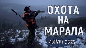 Охота на марала / Алтай 2025 / Patrol снова пострадал