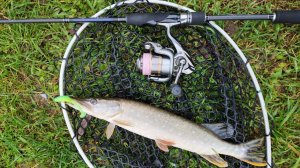 Приток Десны. Легкий джиг, 16 октября 2025 года