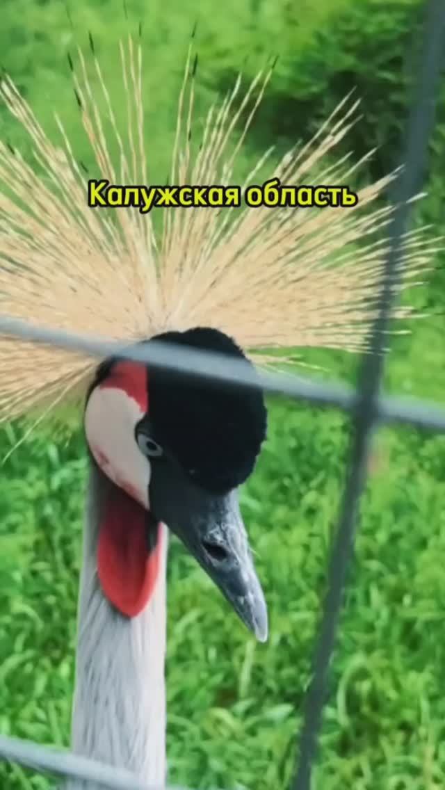 94 дня в 2,5 квадратных метрах. Тизер 1 серии. смотреть онлайн