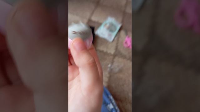 распаковка пакетика с пушином!