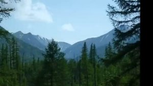 Томазо  Альбинони - Адажио (Ремо Джадзотто) - Albinoni's  Adagio.