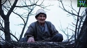 Нейросеть прикол про дороги, мужик утонул в луже