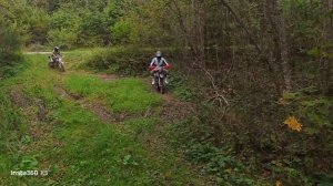 Покатушки на даче, начало осени 🍁 🍂