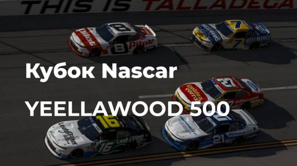 Кубок Nascar: YellaWood 500