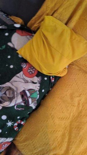 Иллюзория туфелька