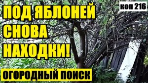 КАК Я ПОД СТАРОЙ ЯБЛОНЕЙ КЛАД ИСКАЛ. коп 216