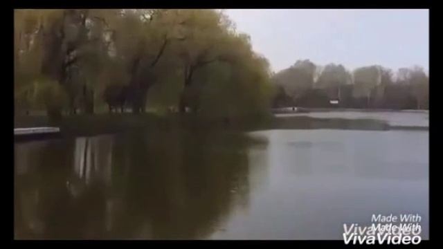 Черкесск. Город, в котором мы живём. Проект 8В смотреть онлайн