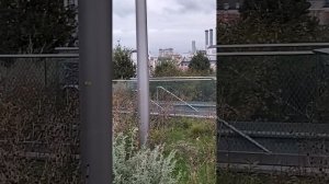 Парк Зарядье в Москве. 18.10.2025 г. Россия.