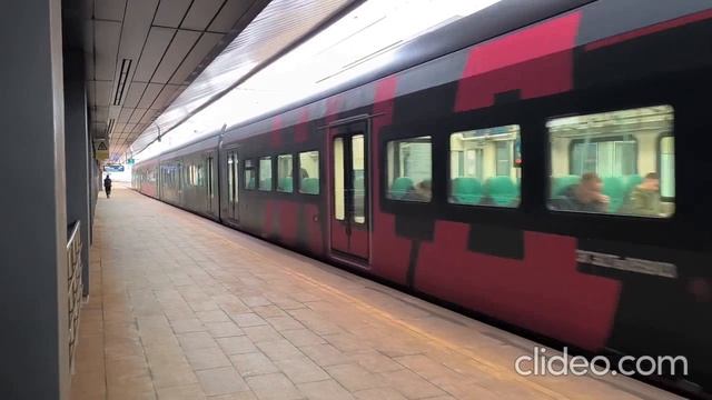 Поймал Черную Иволгу