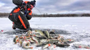 БЕЗУМИЕ НАЧИНАЕТСЯ😱!!! ПЕРВЫЙ ЛЕД 2025-2026г.