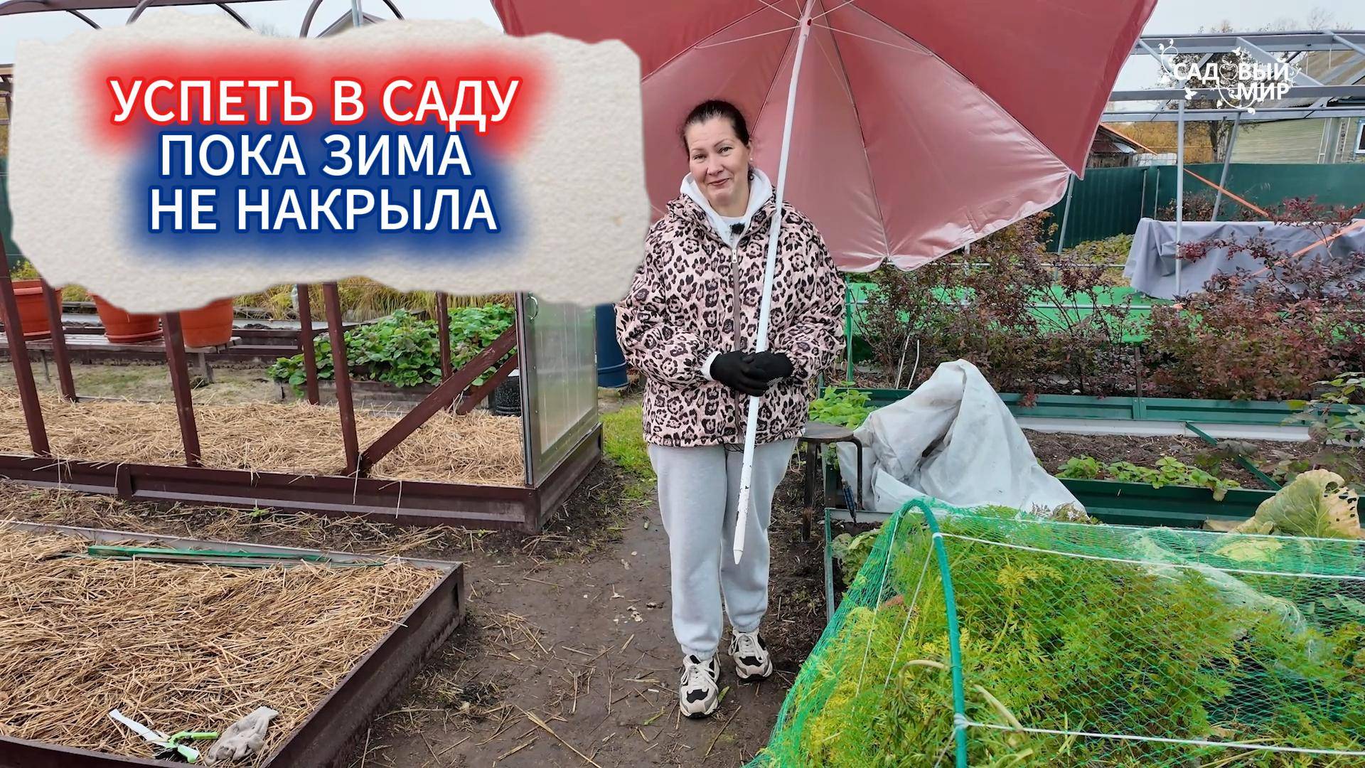 СРОЧНО! САДОВЫЕ ДЕЛА ОКТЯБРЯ - ПОКА ЗИМА НЕ НАКРЫЛА смотреть онлайн