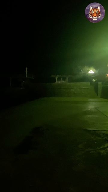 Ночная Ялта #Город #блогер #tigrvtanke смотреть онлайн