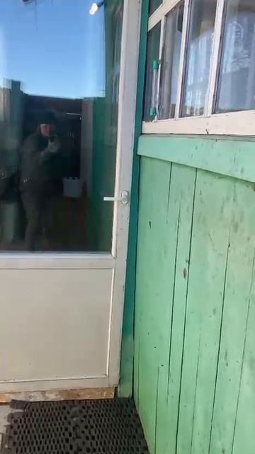 Прогулка смотреть онлайн