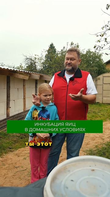 Инкубация яиц в домашних условиях (см полное видео на канале) #куры #ферма #яйца #мясо #цыплята смотреть онлайн