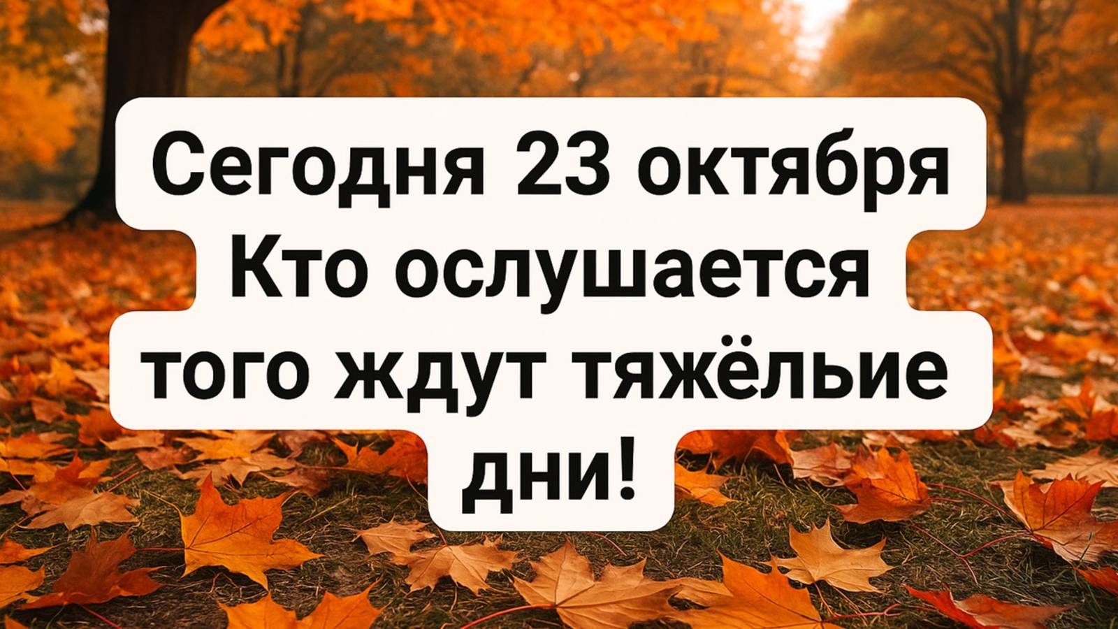 Сегодня 23 октября приметы и запреты: почему сегодня нельзя давать в долг и начинать новые дела смотреть онлайн