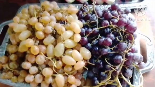 Сочные спелые виноград