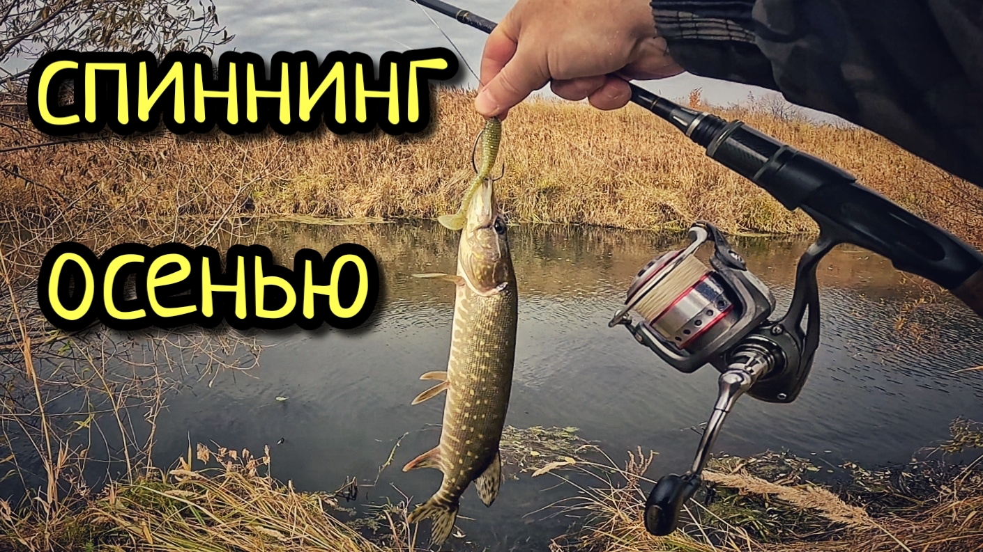СПИННИНГ ОСЕНЬЮ !!! ИЩЕМ ЩУКУ НА МАЛОЙ РЕЧКЕ !!!