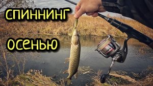 СПИННИНГ ОСЕНЬЮ !!! ИЩЕМ ЩУКУ НА МАЛОЙ РЕЧКЕ !!!