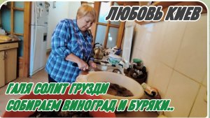 САМВЕЛ АДАМЯН, ЛЮБОВЬ КИЕВ, ГАЛЯ СОЛИТ ГРУЗДИ, СОБИРАЕМ ВИНОГРАД И БУРЯКИ..
