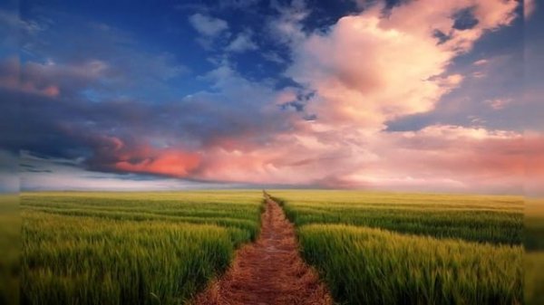 Ваталинка-Крапива-лебеда.mp4