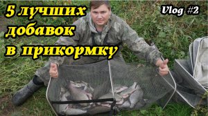 Топ  5 Добавок в Прикормку для Активного Клёва и Долгого Удержания Рыбы в точки ловли.