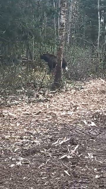 Кое-что интересное на нашем объекте смотреть онлайн