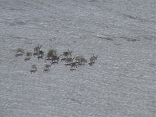 КУЗБАСС ГЛАЗАМИ НОВОКУЗНЕЦКОГО ГЕОФАКА - 2010 г.