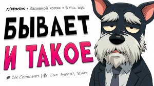 Любовь, комбуча и 50 долларов