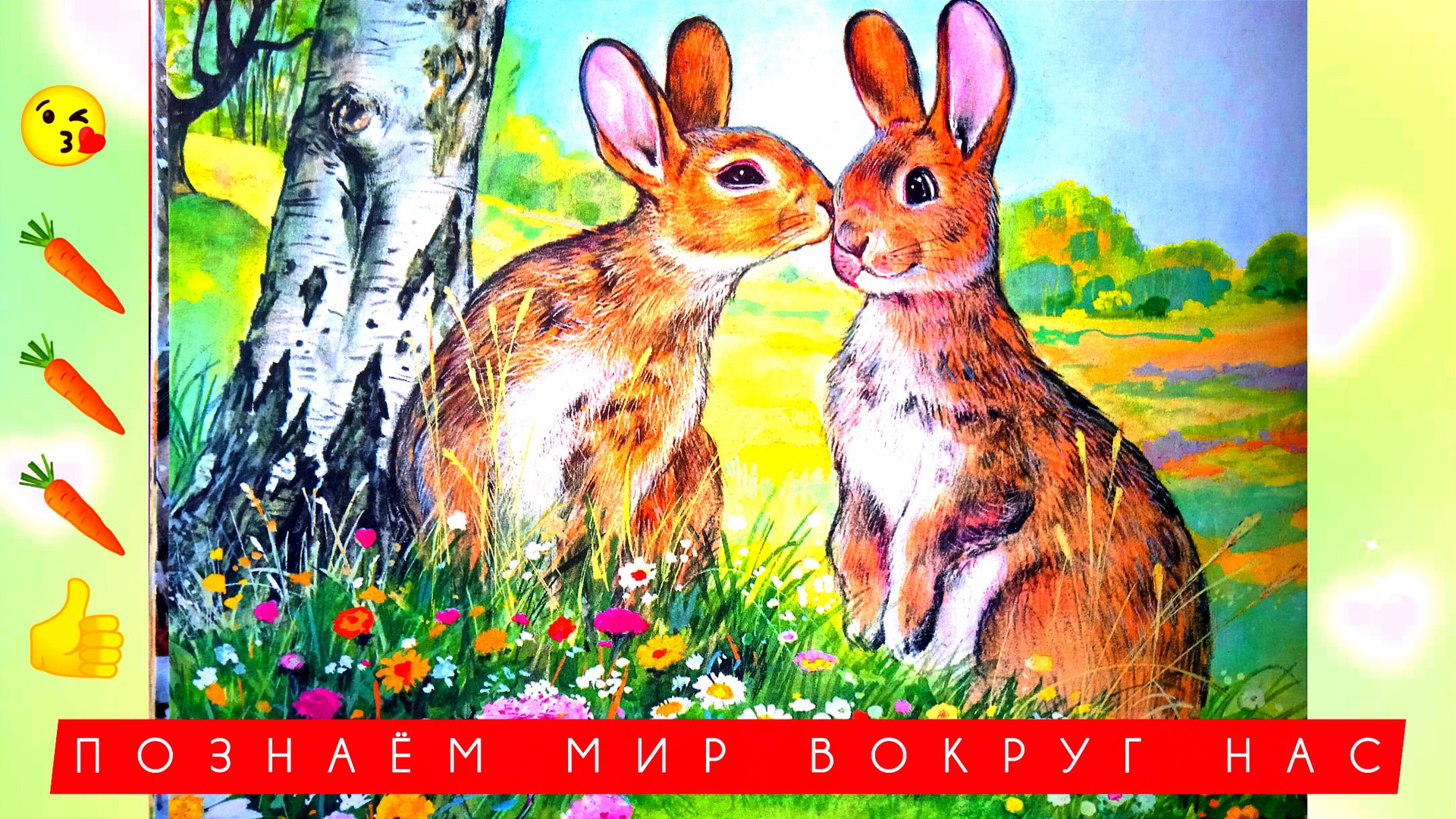 Приключения ЗАЙЧËНКА 🦋🐰 смотреть онлайн